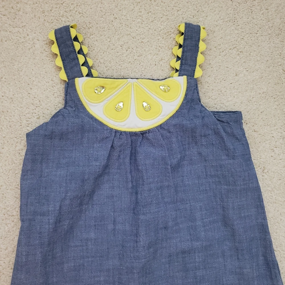 Gymboree Girls Embrodiered Lemon Chambray Dress - Citrus & Sunshine sz18-24m